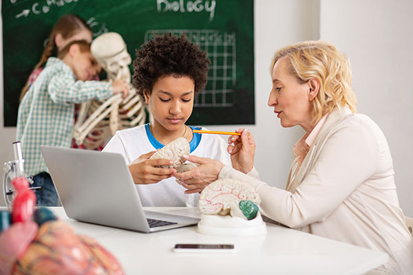 Teacher explaining parts of the brain to a student.