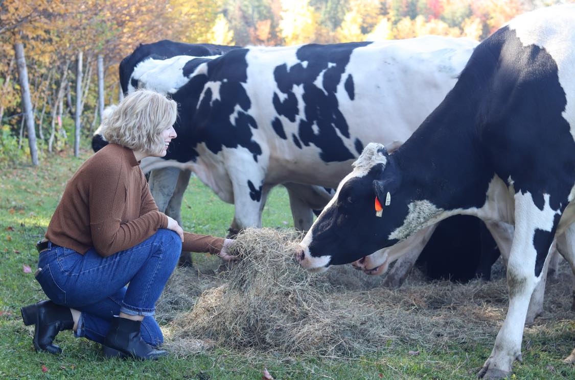 Gabrielle feeding a cow from her hand.