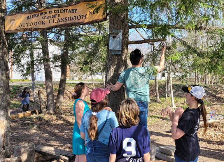 Anglophone West Nackawic Elementary School Gets An Outdoor Classroom Upgrade Future Nb 4944